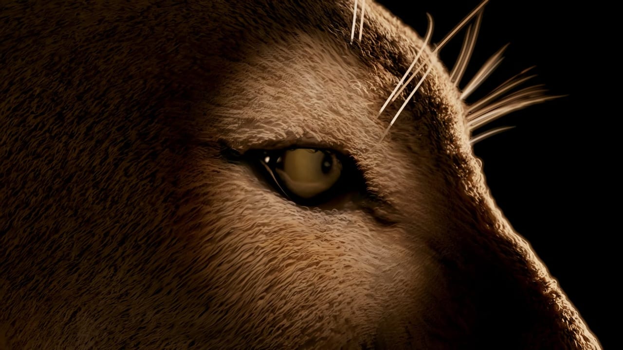 FOX Sports | Florida Panthers - 2019 Logo Animation article image showing ECG Productions animation, motion graphics, or visual storytelling work.