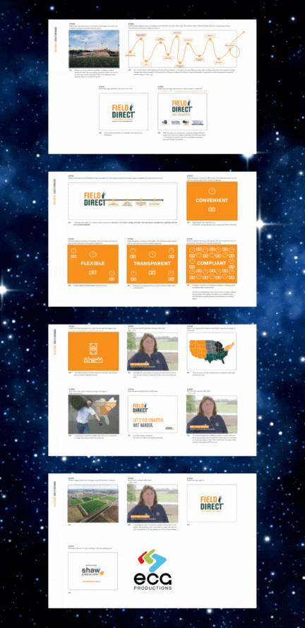 Shaws Sports Turf Storyboard Samples